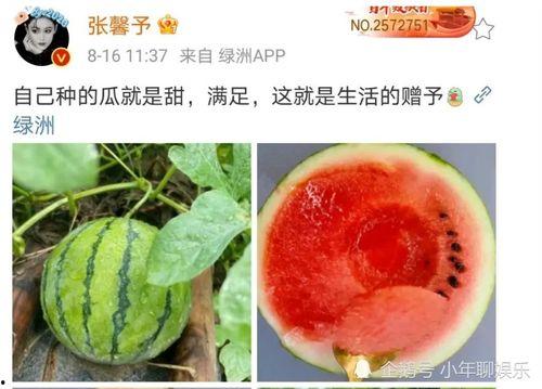 娱乐吃瓜料